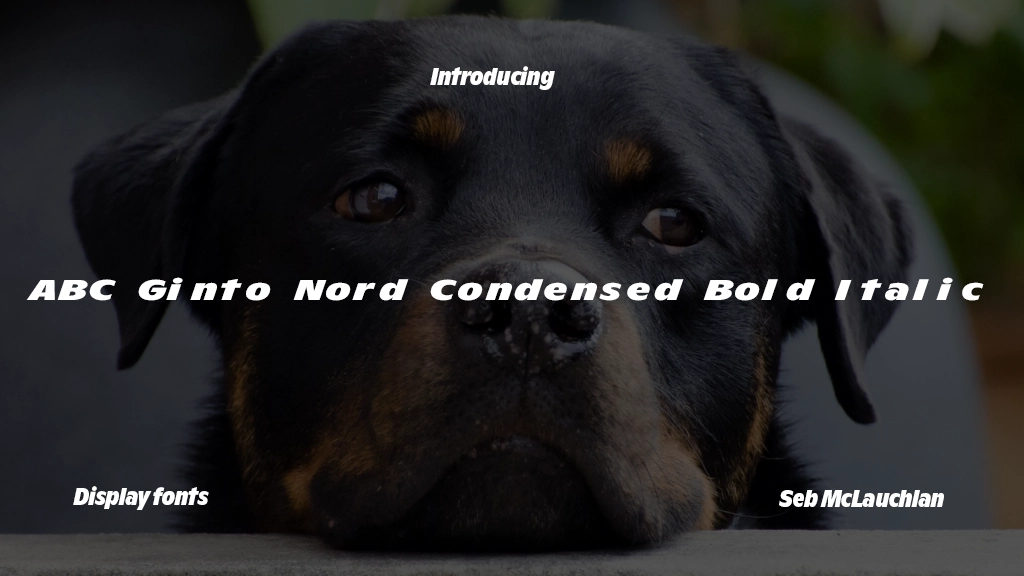 ABC Ginto Nord Condensed Unlicensed Trial Bold Italic Immagini di esempio dei caratteri  1