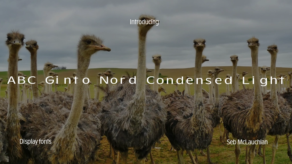 ABC Ginto Nord Condensed Unlicensed Trial Light Font Sample Images  1