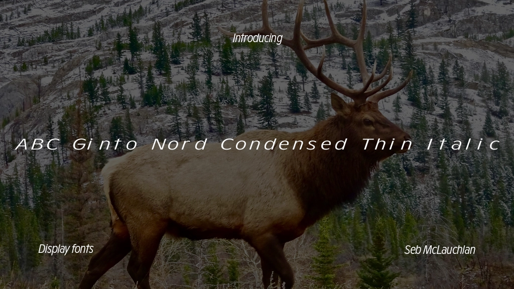 ABC Ginto Nord Condensed Unlicensed Trial Thin Italic Font Sample Images  1