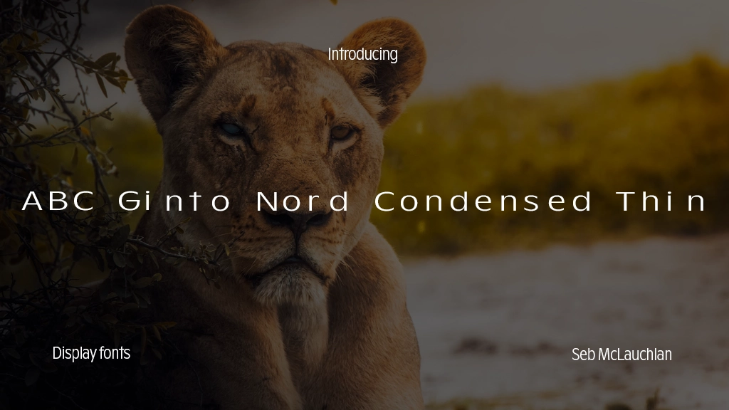 ABC Ginto Nord Condensed Unlicensed Trial Thin Font Sample Images  1