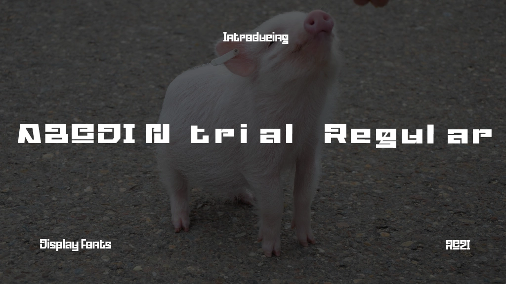 ABODIN Regular Font Sample Images  1