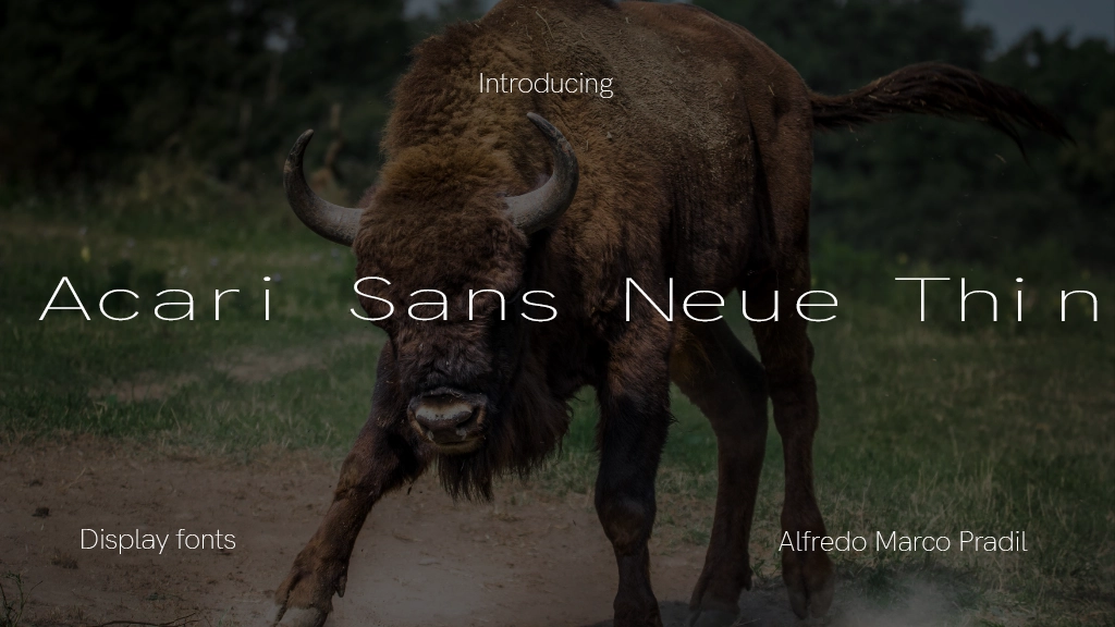 Acari Sans Neue Thin Font Sample Images  1