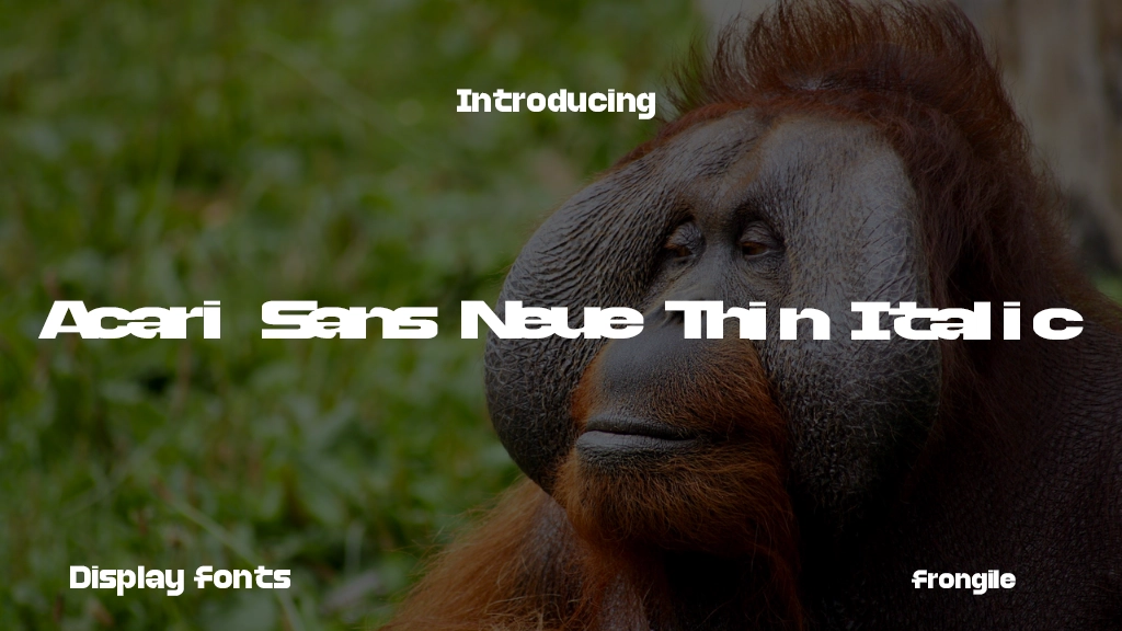 Accelerator Regular Imagens de amostra de fonte  1