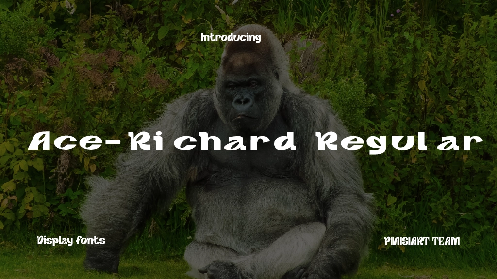 Ace-Richard Regular Font Sample Images  1