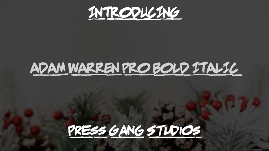 Adam Warren pro Bold Italic Immagini di esempio dei caratteri  1