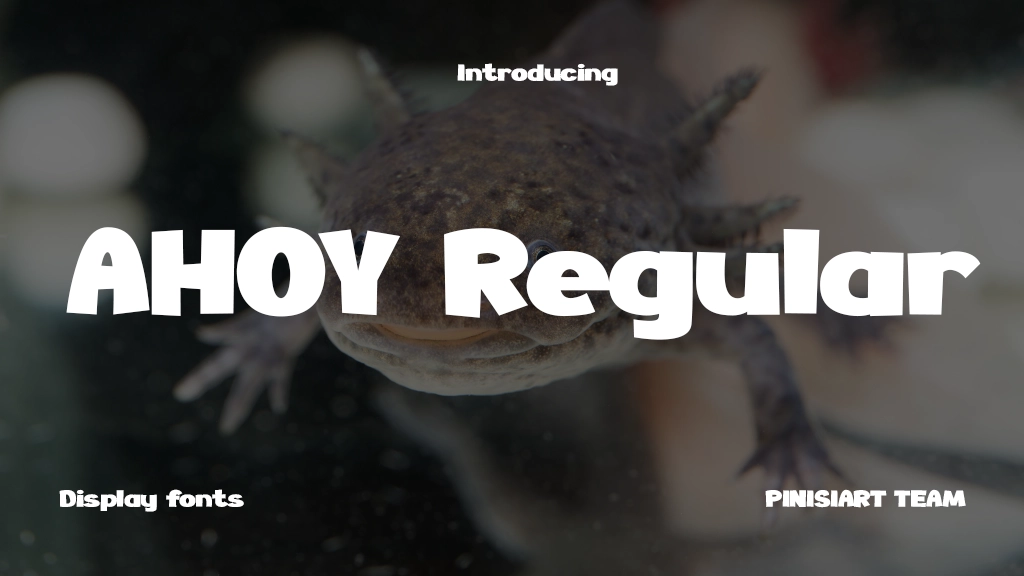 AHOY Regular Immagini di esempio dei caratteri  2