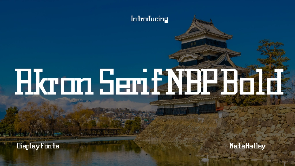 Akron Serif NBP Bold Images d’exemples de polices  1