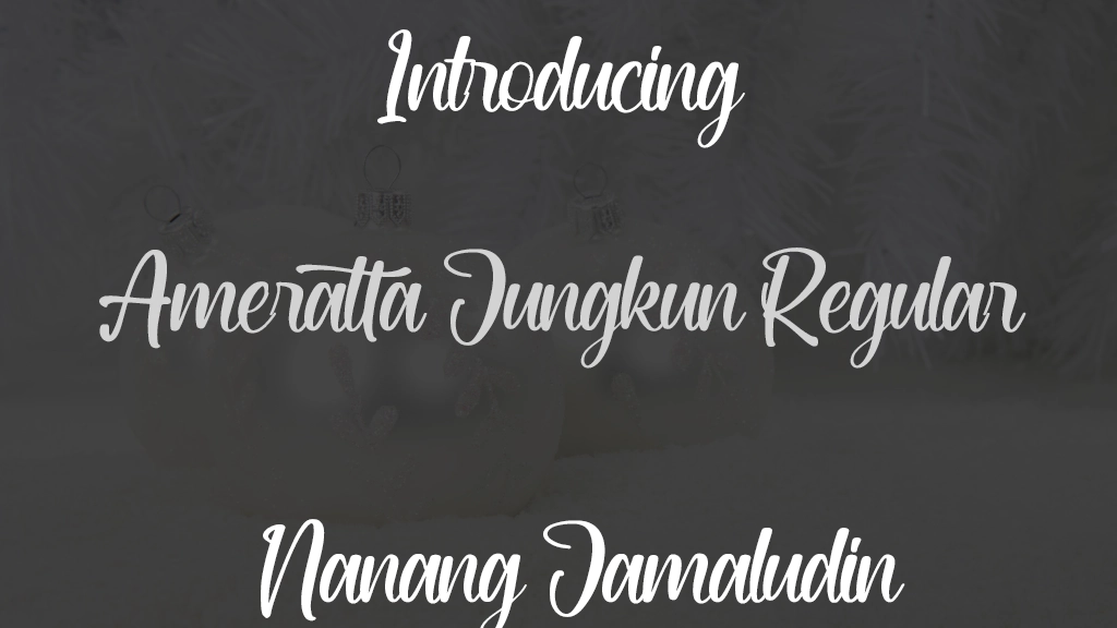 Ameratta Jungkun Regular Beispielbilder für Schriftarten  1