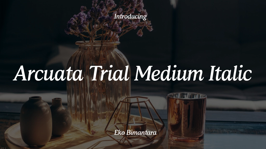 Arcuata Trial Medium Italic 字体样本图像  1