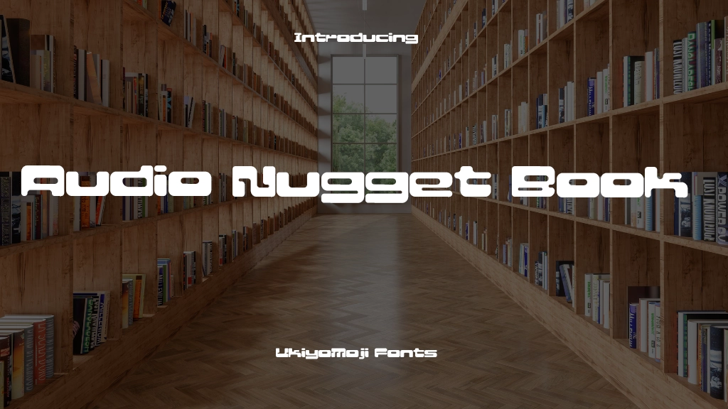 Audio Nugget Book Font Sample Images  1