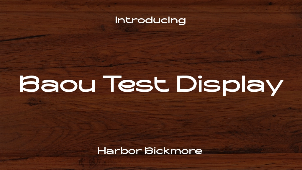 Baou Test Display フォントサンプル画像  1