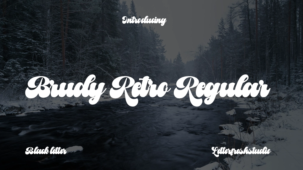 Brudy Retro Regular Font Sample Images  1