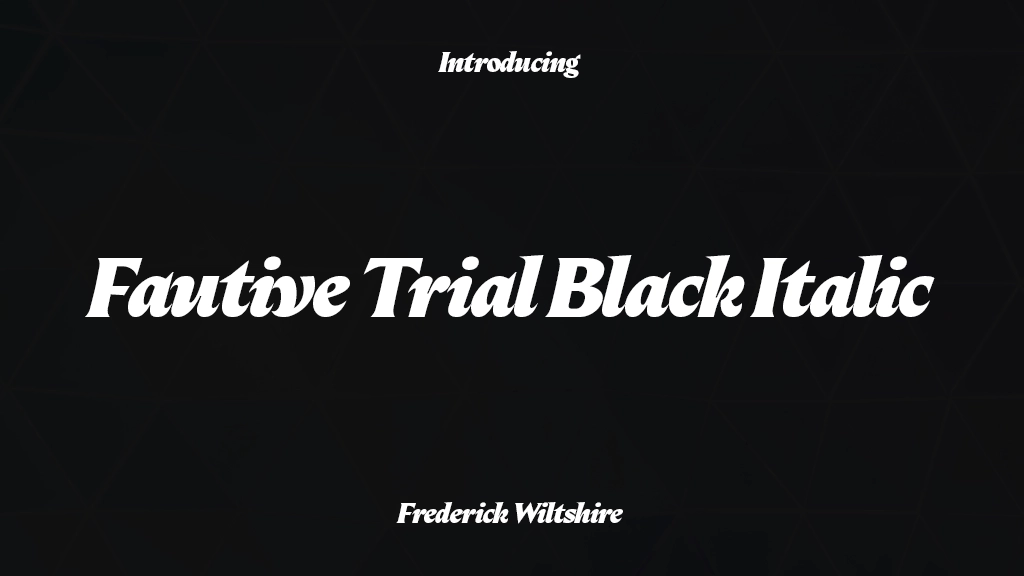 Fautive Trial Black Italic フォントサンプル画像  2