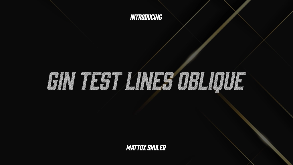 Gin Test Lines Oblique Font Sample Images  1
