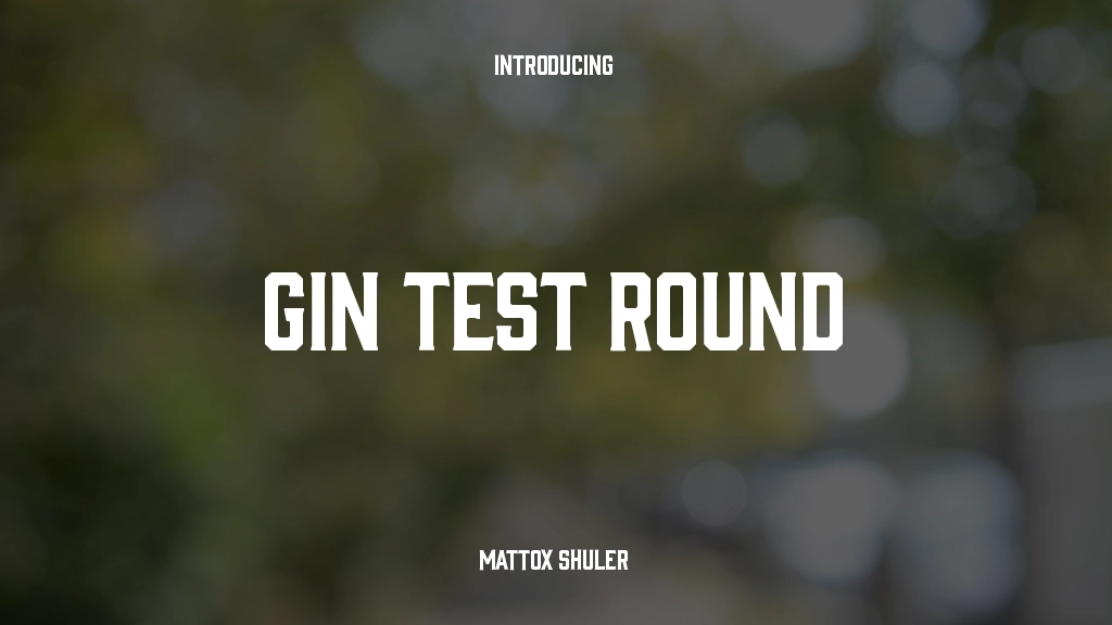 Gin Test Round Beispielbilder für Schriftarten  1
