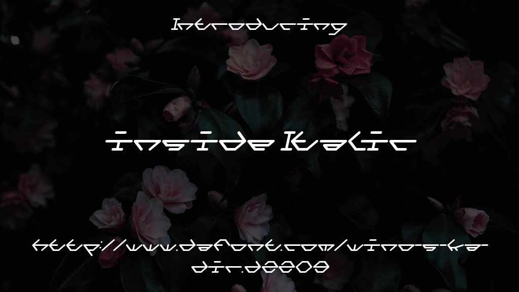 inside Italic 字体样本图像  1