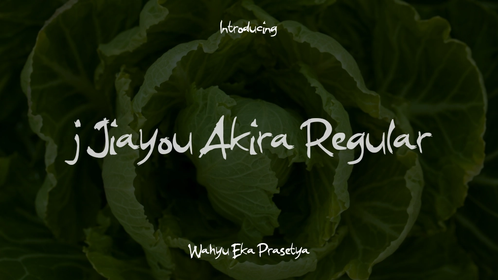 j Jiayou Akira Regular 글꼴 샘플 이미지  1