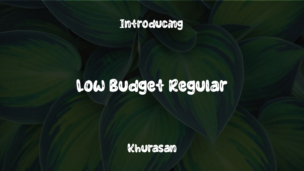 Low Budget Regular Font Sample Images  1