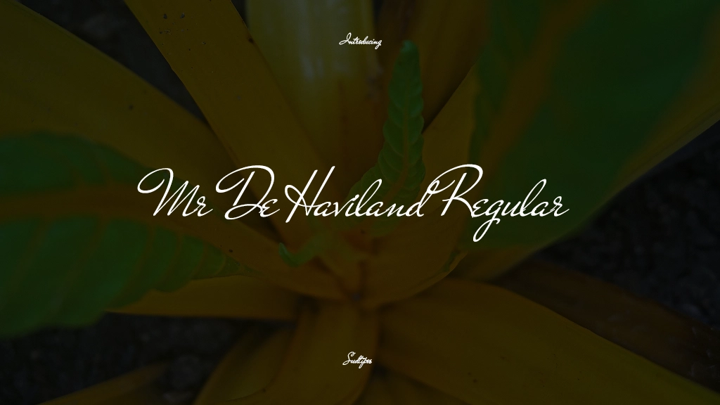 Mr De Haviland Regular フォントサンプル画像  1