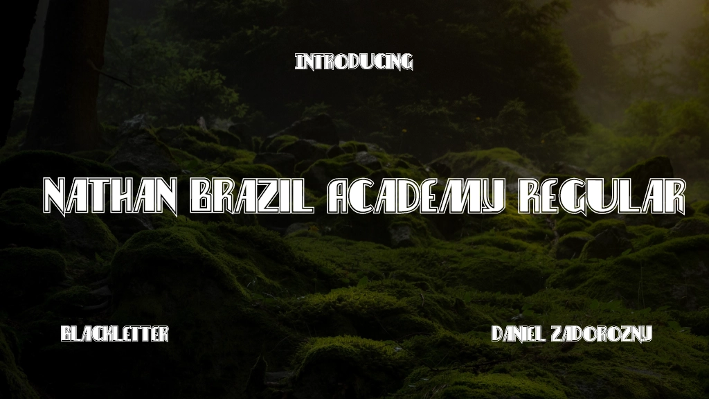 Nathan Brazil Academy Regular Font Sample Images  1