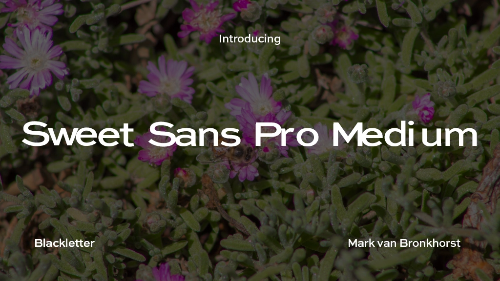 Sweet Sans Pro Medium Font Sample Images  1